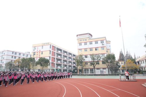 1701733101911273.jpg 1.jpg