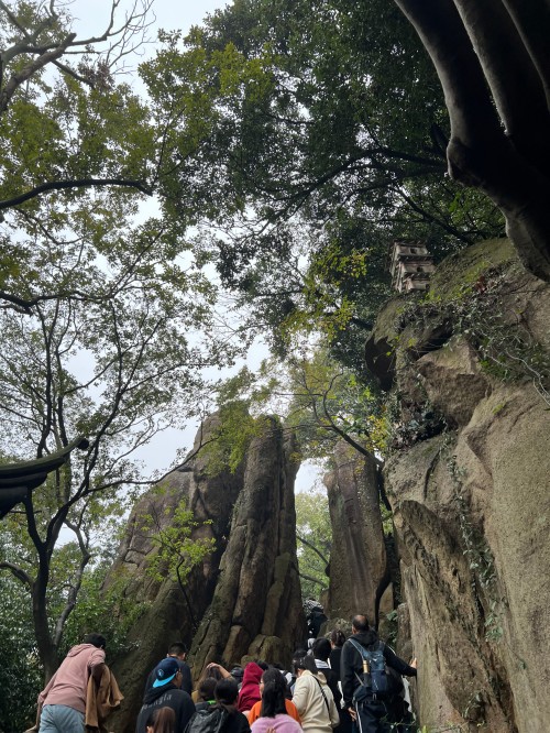照片 5.jpg